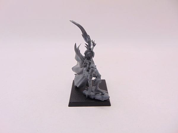 Theddra Skull-Scryer