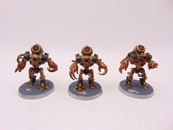 Ursarax Cohort