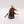 Farseer