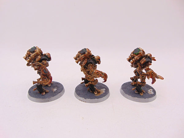 Ursarax Cohort