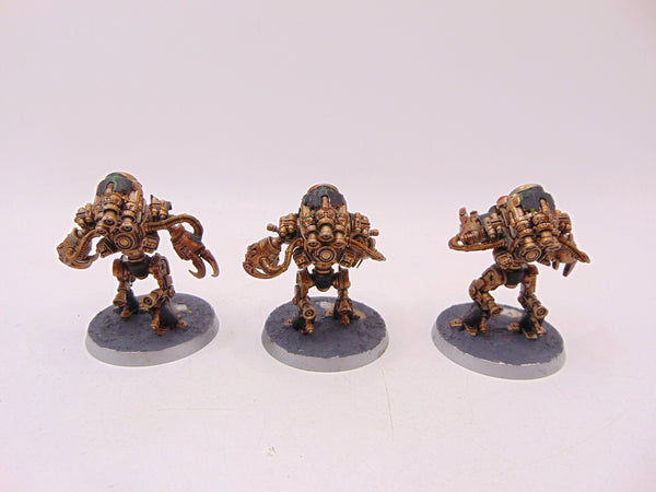 Ursarax Cohort