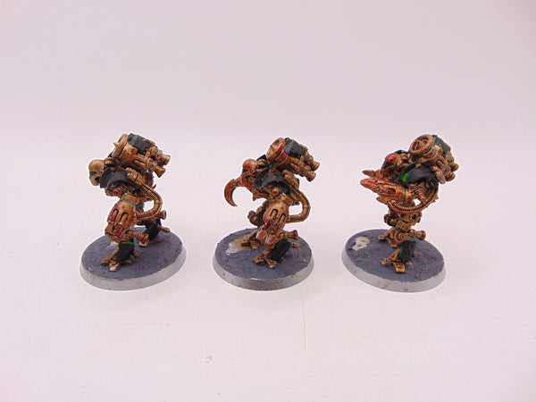Ursarax Cohort