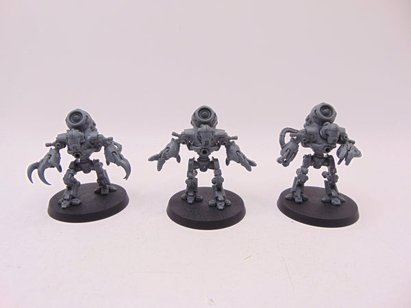 Ursarax Cohort