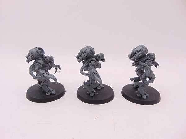 Ursarax Cohort