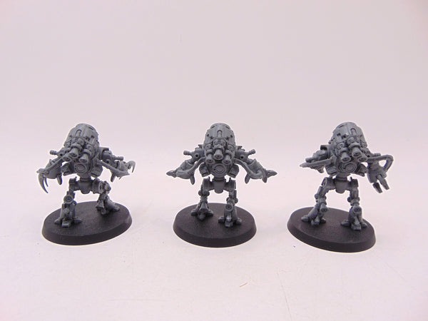 Ursarax Cohort