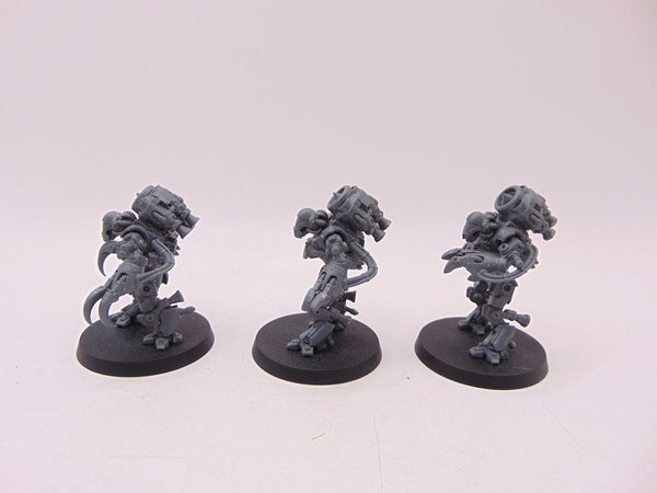 Ursarax Cohort