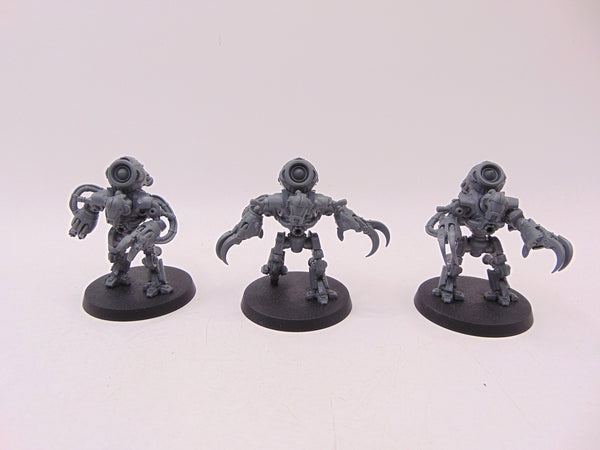 Ursarax Cohort