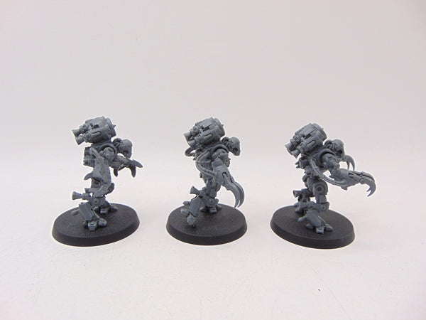 Ursarax Cohort