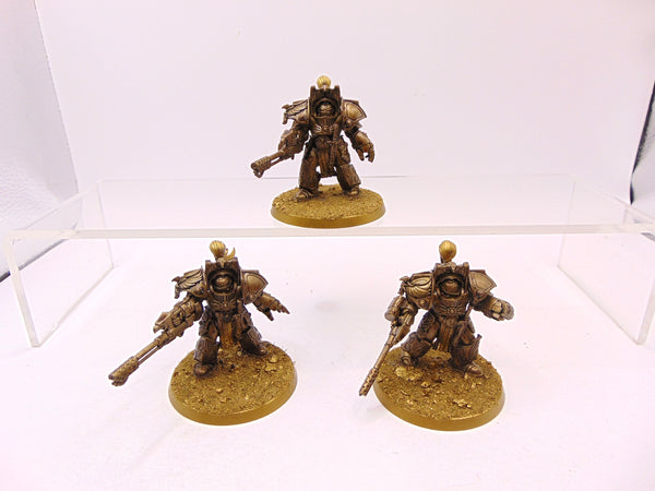 Aquilon Terminators with Infernus Firepikes