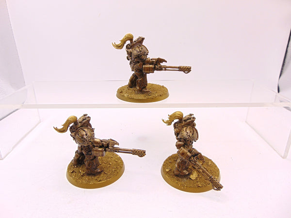 Aquilon Terminators with Infernus Firepikes