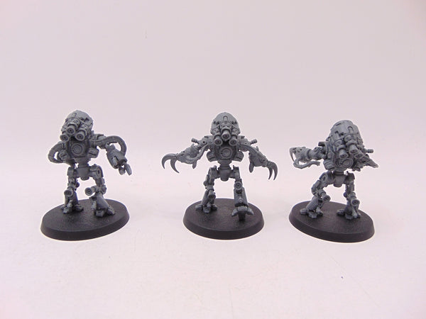 Ursarax Cohort