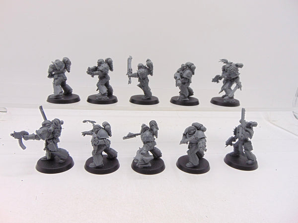 Red Corsair Raiders