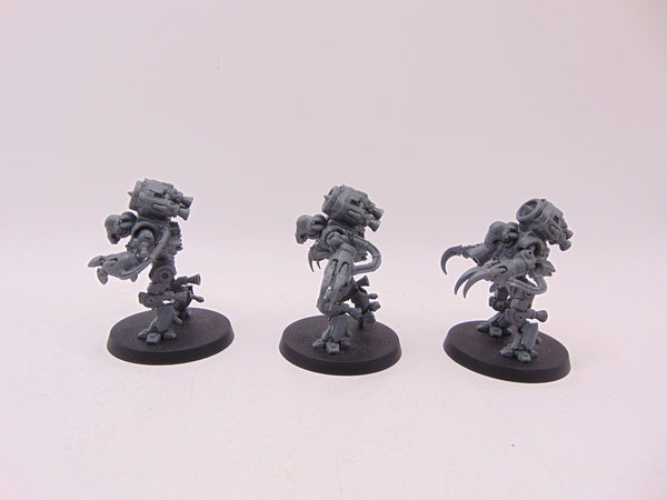 Ursarax Cohort