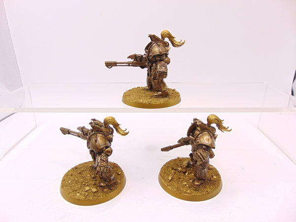 Aquilon Terminators with Infernus Firepikes
