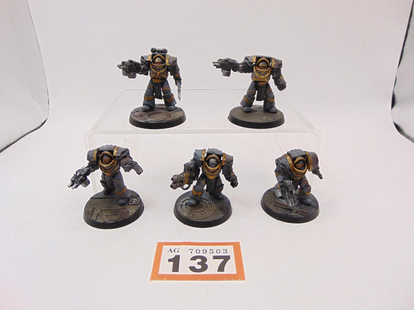 Cataphractii Terminator Squad