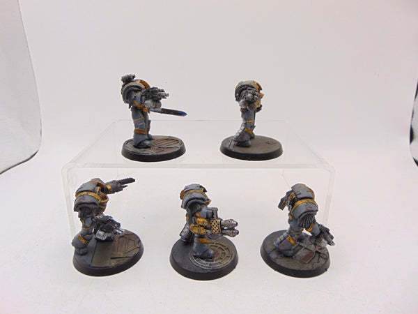 Cataphractii Terminator Squad