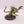 Chaos Spawn