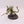 Chaos Spawn