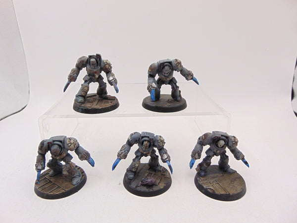 Terminator Assault Squad