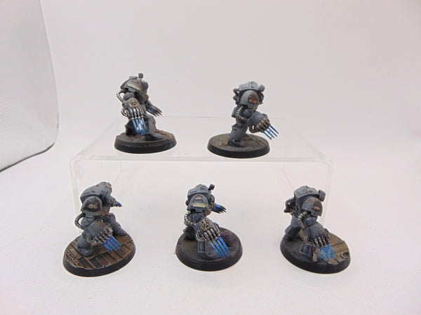 Terminator Assault Squad