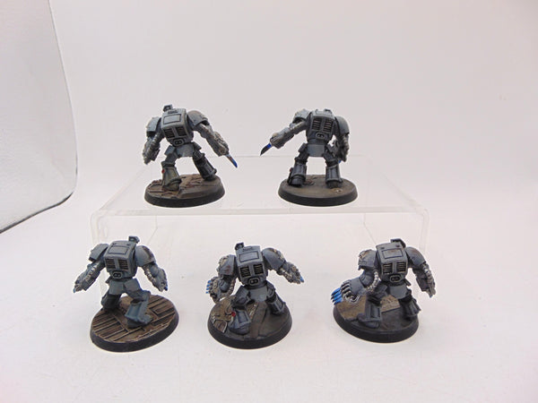 Terminator Assault Squad