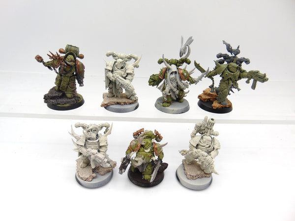 Plague Marines & Champion
