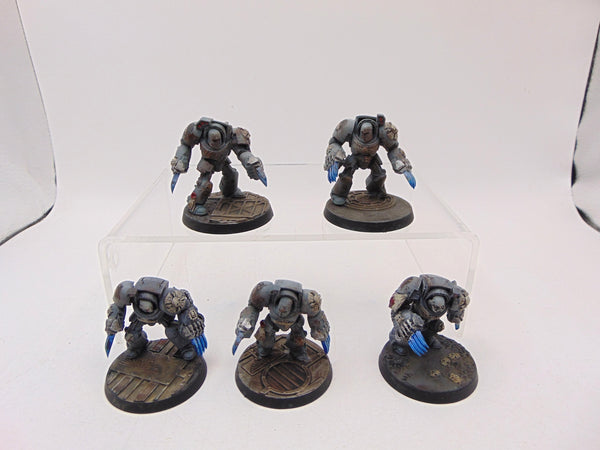 Terminator Assault Squad