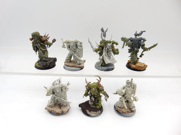 Plague Marines & Champion