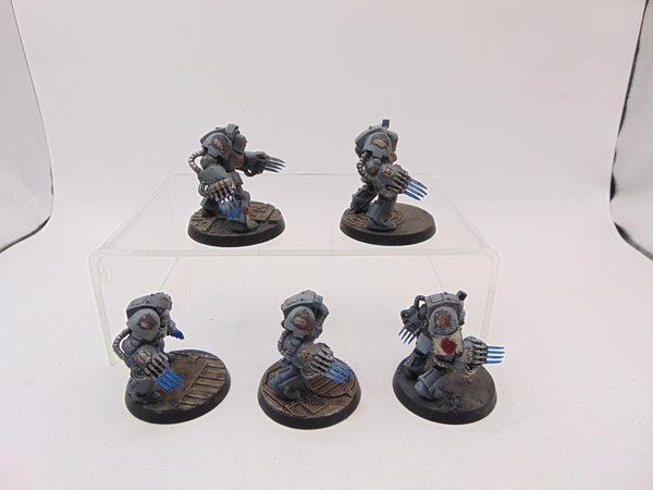 Terminator Assault Squad