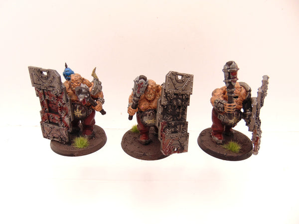 Bullgryns Conversion