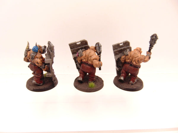 Bullgryns Conversion