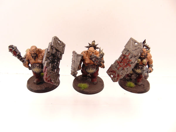 Bullgryns Conversion