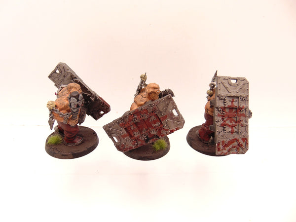 Bullgryns Conversion