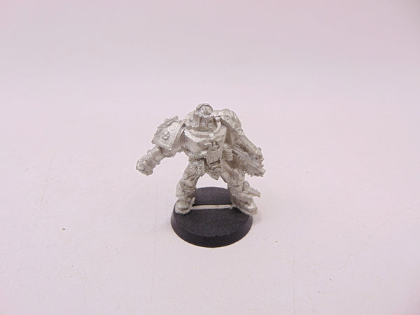 Tyrannic War Veterans