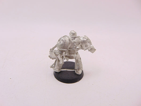 Tyrannic War Veterans