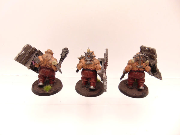 Bullgryns Conversion