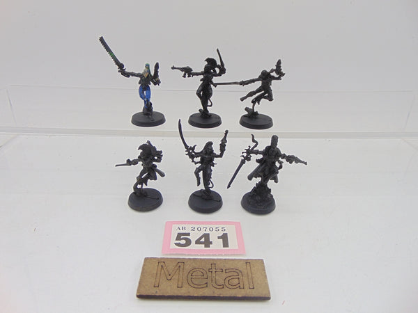 Harlequin Troupe and Troupe Master