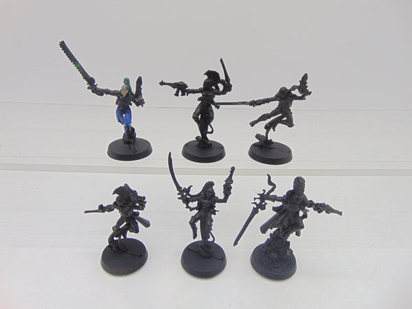 Harlequin Troupe and Troupe Master