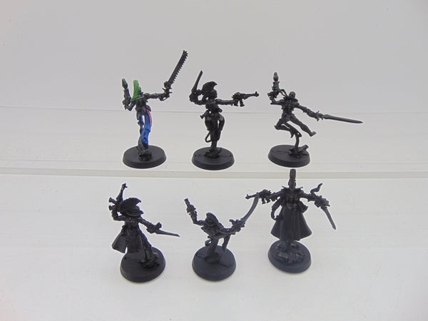 Harlequin Troupe and Troupe Master