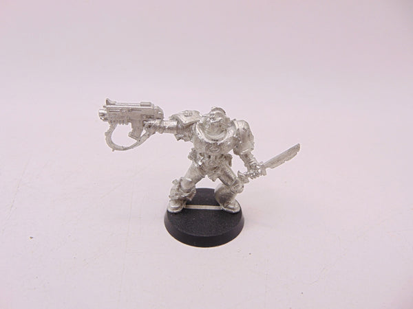 Tyrannic War Veterans
