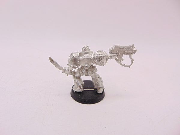 Tyrannic War Veterans
