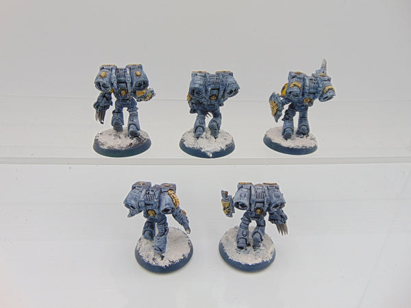 Wolf Guard with Jumppacks