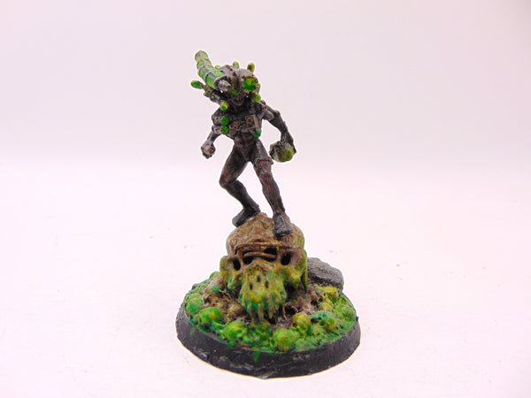 Culexus Assassin
