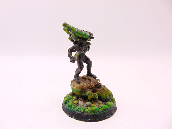 Culexus Assassin
