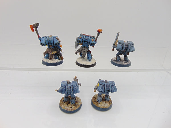Wolf Guard with Jumppacks