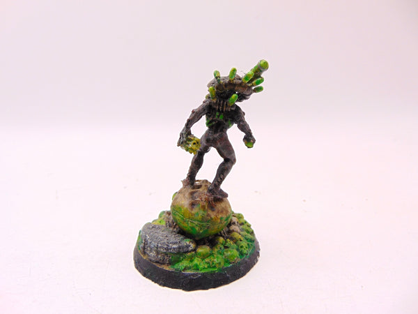 Culexus Assassin