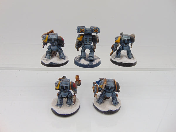 Wolf Guard Terminators