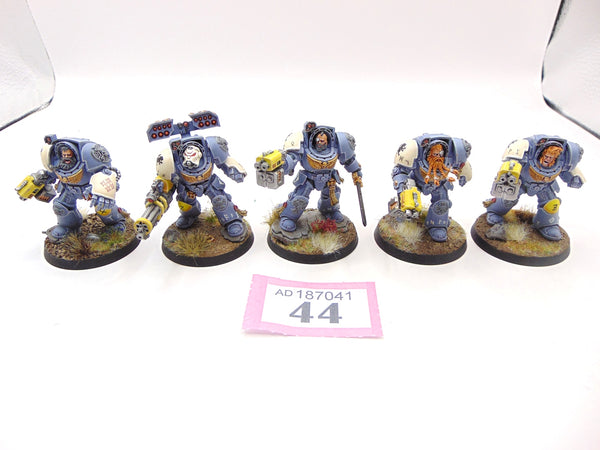 Wolf Guard Terminator Squad
