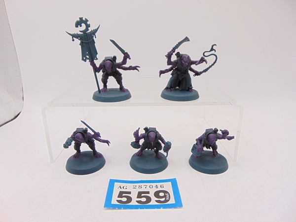Acolyte Hybrids