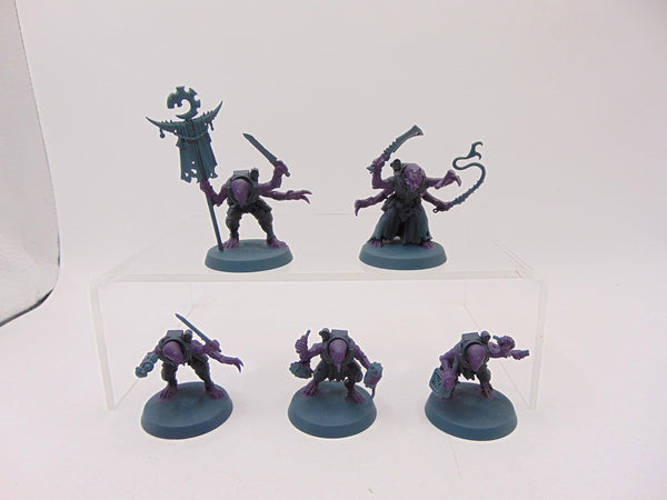 Acolyte Hybrids